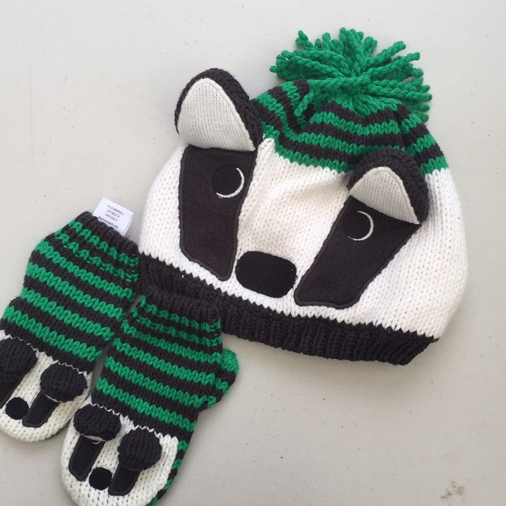 2-3t winter hat and glove set Gymboree and carters